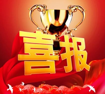 “第六届中国LED行业2013年度评选”元亨双丰收